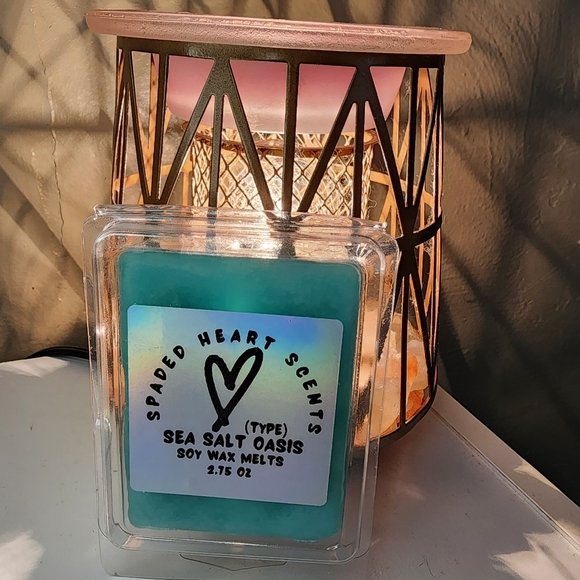 Sea Salt Oasis (type) Wax Melts (Handcrafted) - Picture 3 of 4
